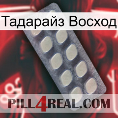 Тадарайз Восход 08